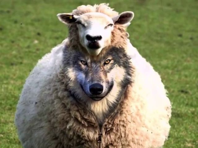 В приведенном сообщении Ирины Август от 16.01.2018 г. три раза высказана недостоверная информация.