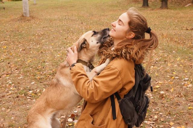 КП "Центр обращения с животными" посетило рекордное количество харьковчан