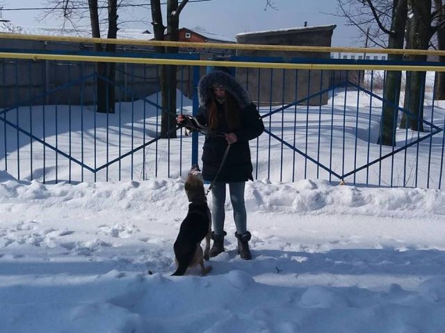 Выгул питомцев харьковского Приюта для бездомных животных 4 марта