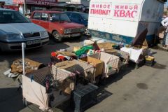 коробочники