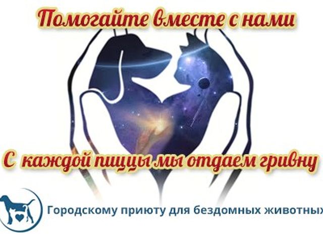Акцию помощи животным, содержащимся в приюте Харьковского городского Центра содержания бездомных животных