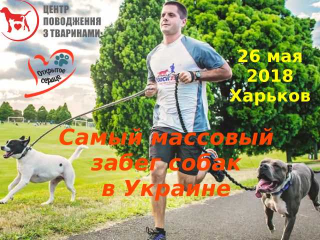 Самый массовый забег людей с собаками в Украине